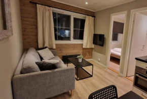 Newly renovated apartment Gautefall